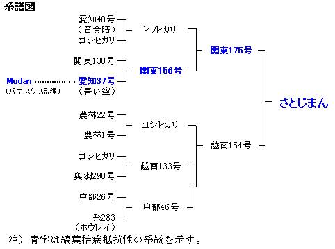 図1 系統図