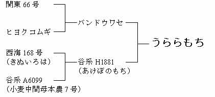 図1 系譜図