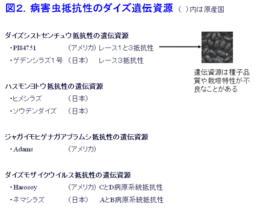 図2 病害虫抵抗性のダイズ遺伝資源