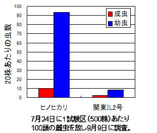 図2.関東BPH1号の圃場でのトビイロウンカ増殖性試験