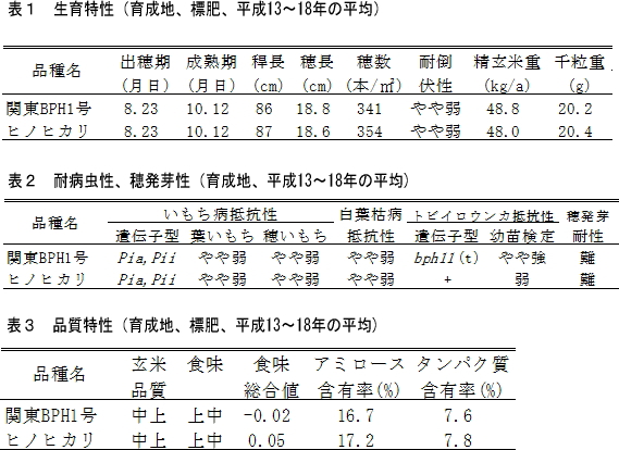 表1 生瀬特性