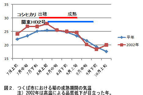 図2 つくば市における稲の成熟期間の気温