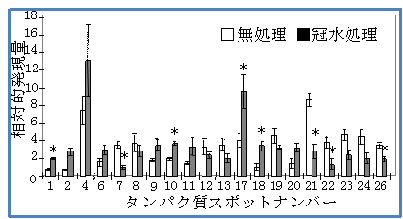 図3.湿害関連タンパク質の検出の一例 冠水処理で変動するタンパク質群の発現を解析すると複数の遺伝子候補が特定できます。 