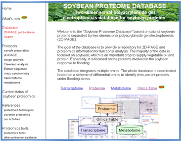 図4.ダイズプロテオームデータベースはhttp://proteome.dc.affrc.go.jp/Soybean/のウエブサイトで公開しています 