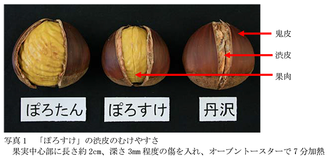 「ぽろすけ」の渋皮のむけやすさ