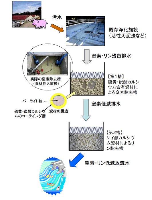 図1 処理プロセスの全体イメージ