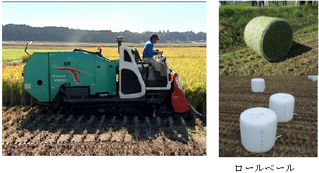 図3.左:自走式細断型飼料イネ収穫機、右:ロールベール