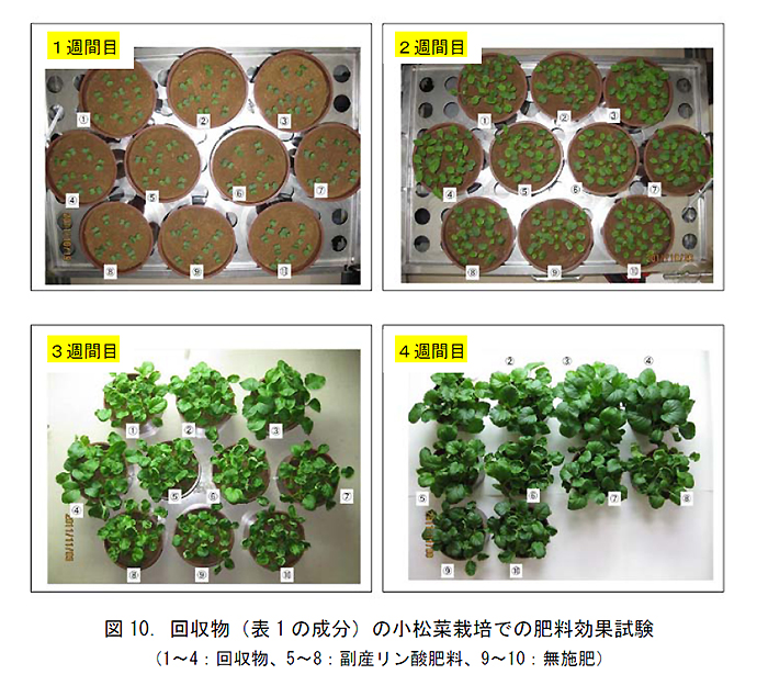 図10.回収物(表1の成分)の小松菜栽培での肥料効果試験