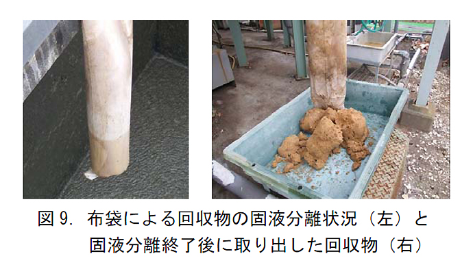 図9.布袋による回収物の固液分離状況(左)と固液分離終了後に取り出した回収物(右)