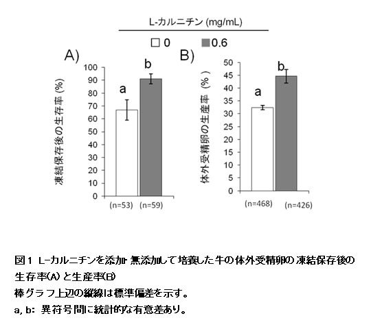図1 L-カルニチンを添加・無添加して培養した牛の体外受精卵の凍結保存後の生存率(A)と生産率(B)