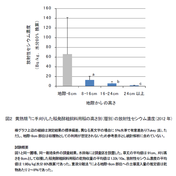 図2 黄熟期に手刈りした稲発酵粗飼料用稲の高さ別(層別)の放射性セシウム濃度(2012年)