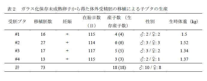 表2.ガラス化保存未成熟卵子から得た体外受精胚の移植による子ブタの生産