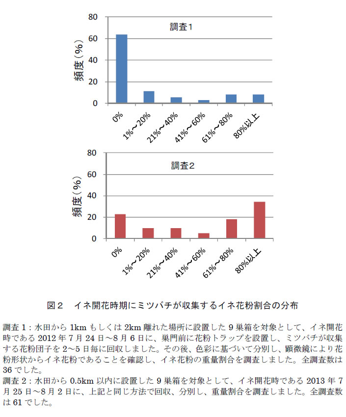 図2.イネ開花時期にミツバチが収集するイネ花粉割合の分布