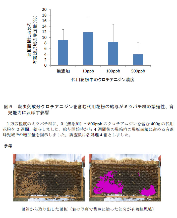 図5.殺虫剤成分クロチアニジンを含む代用花粉の給与がミツバチ群の繁殖性、育児能力に及ぼす影響