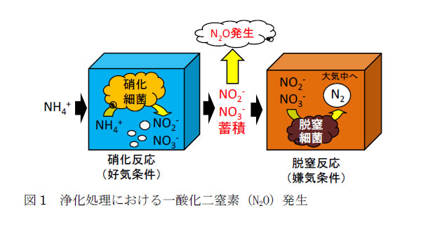 図1.浄化処理における一酸化二窒素発生