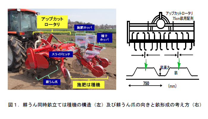 図1. 耕うん同時畝立ては種機の構造(左)及び耕うん爪の向きと畝形成の考え方(右)