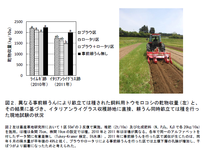 図2. 異なる事前耕うんにより畝立ては種された飼料用トウモロコシの乾物収量(左)とその結果に基づき、イタリアンライグラス収穫跡地に直接、耕うん同時畝立ては種を行った現地試験の状況