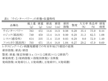 表1:「ウィンターパワー」の形態・収量特性