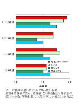 図1:収穫期の違いによるレタス品質の変動