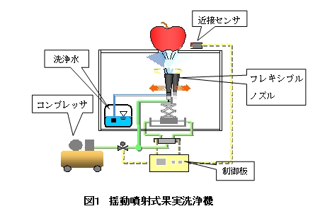 図1 揺動噴射式果実洗浄機
