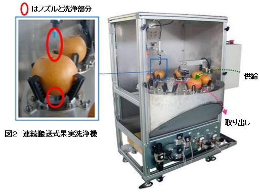 図2 連続搬送式果実洗浄機