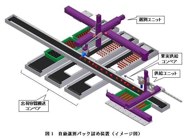 図1 自動選別パック詰め装置等