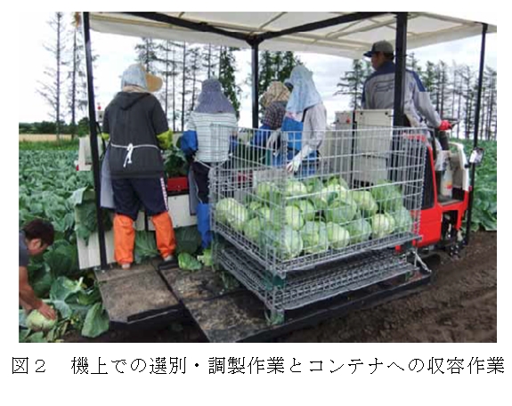 図2 機上での選別・調製作業とコンテナへの収容作業