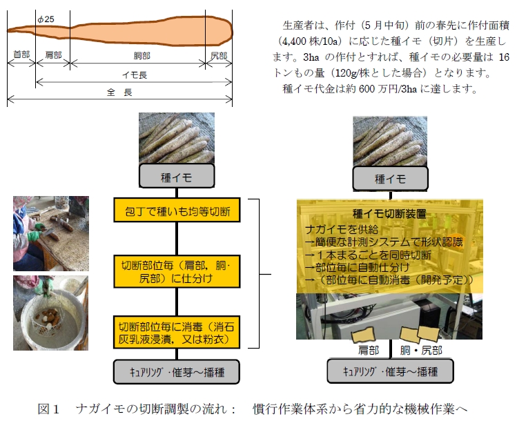 図1 ナガイモの切断調製の流れ: 慣行作業体系から省力的な機械作業へ