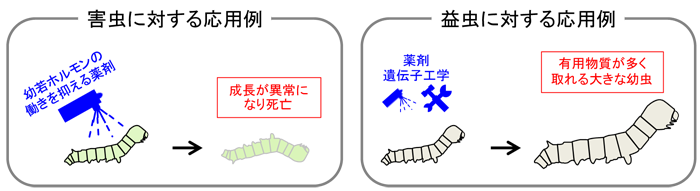 本研究から期待される応用技術