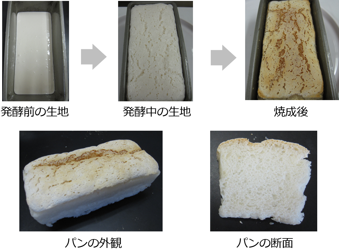写真1.パンの発酵・焼成