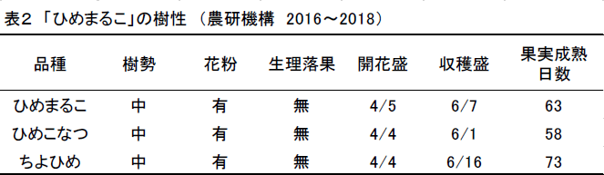 表2 「ひめまるこ」の樹性 (農研機構 2016～2018)。品種、樹勢、花粉、生理落果、開花盛、収穫盛、果実成熟日数の順にひめまるこ、中、有、無、4/5、6/7、63。ひめこなつ、中、有、無、4/4、6/1、58。ちよひめ、中、有、無、4/4、6/16、73。