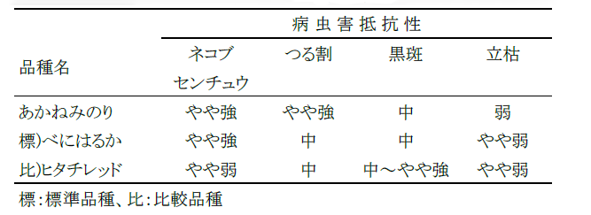 研究成果 オレンジ色の加工用サツマイモ新品種 あかねみのり と ほしあかね プレスリリース 広報