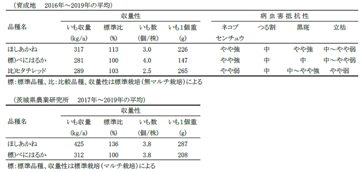 研究成果 オレンジ色の加工用サツマイモ新品種 あかねみのり と ほしあかね プレスリリース 広報