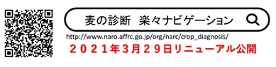 麦の診断楽々ナビゲーションQRコード