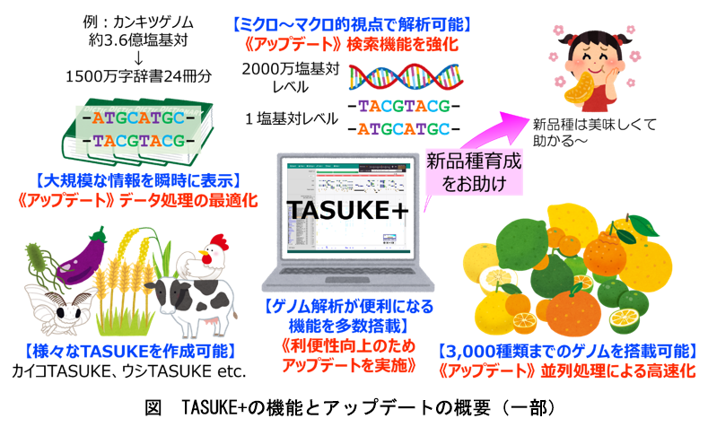 図 TASUKE+の機能とアップデートの概要(一部)