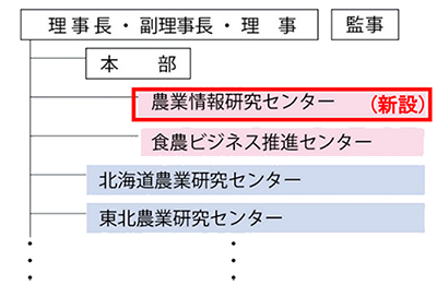 組織図