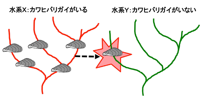 図2