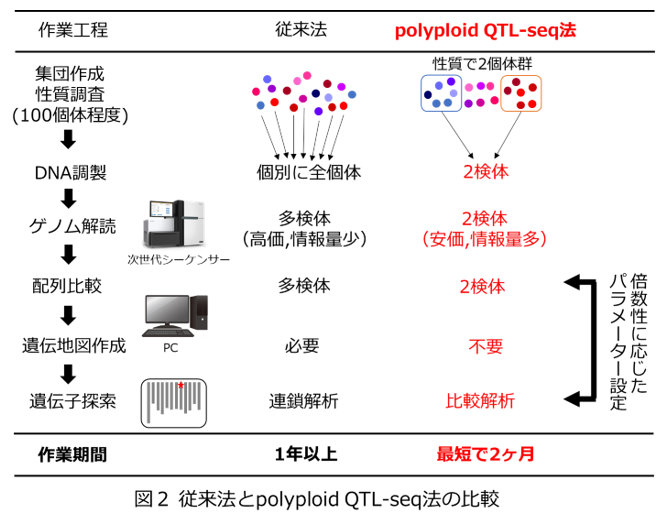 図2 従来法とpolyploid QTL-seq法の比較