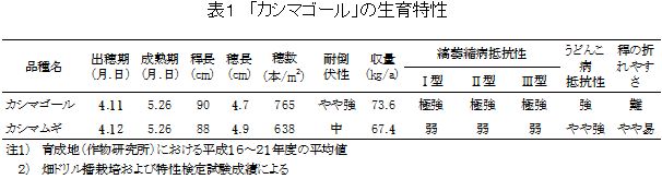 表1 カシマゴールの生育特性