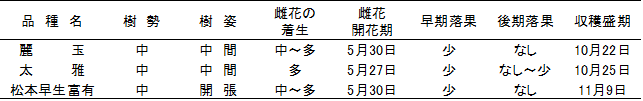 表1 「麗玉」および「太雅」の樹性、結実性および成熟期