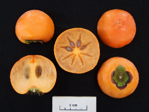 図2 「麗玉」の果実(受粉樹が周囲にある場合)