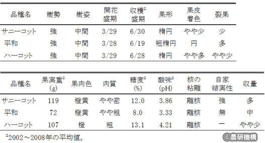 表1 「サニーコット」の樹性および果実特性(農研機構果樹研究所)