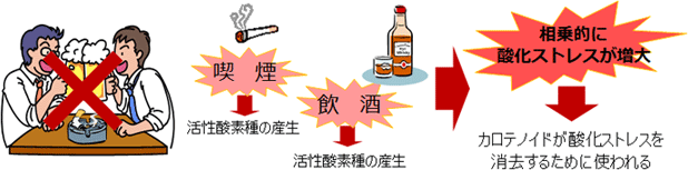 酸化ストレスの増大