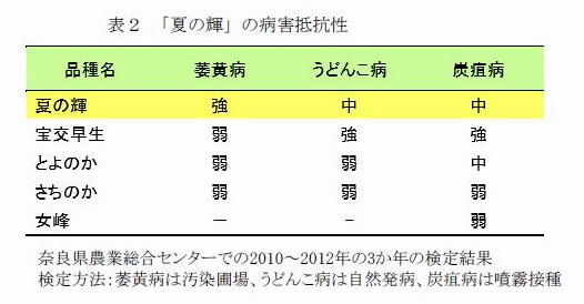 表2 「夏の輝」の病害抵抗性