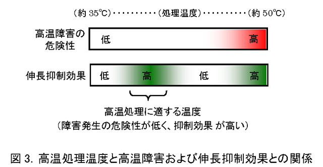 図3 高温処理温度と高温障害および伸長抑制効果との関係