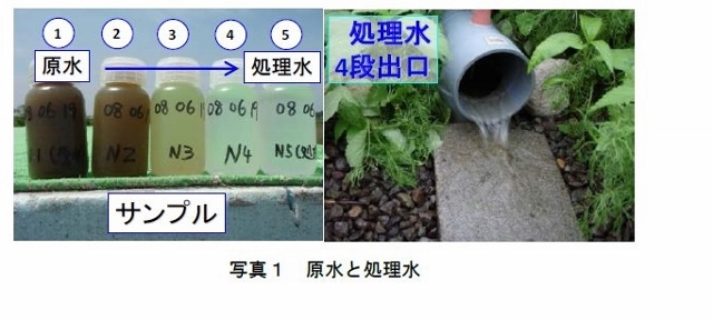 写真1 原水と処理水