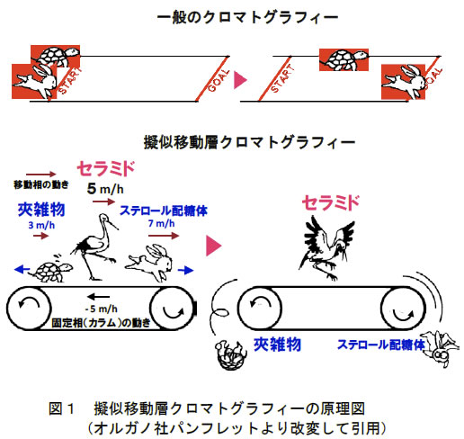 図1 疑似移動層クロマトグラフィーの原理図(オルガノ社パンフレットより改変して引用)