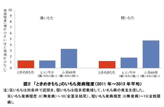 図2 「ときめきもち」のいもち発病程度(2011年～2013年平均)