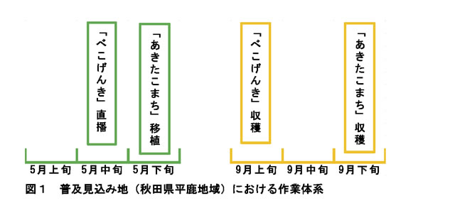 図1 普及見込み地(秋田県平鹿地域)における作業体系