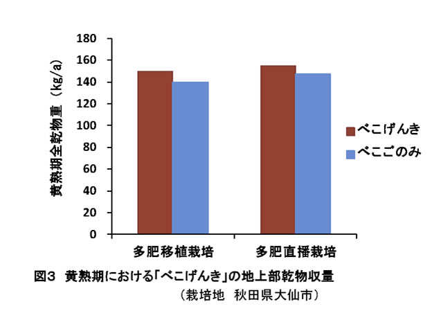 図3 黄熟期における「べこげんき」の地上部乾物収量
